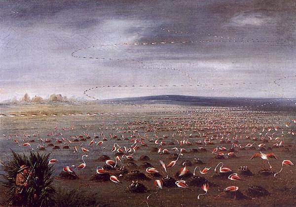 George Catlin Ambush for Flamingoes Germany oil painting art
